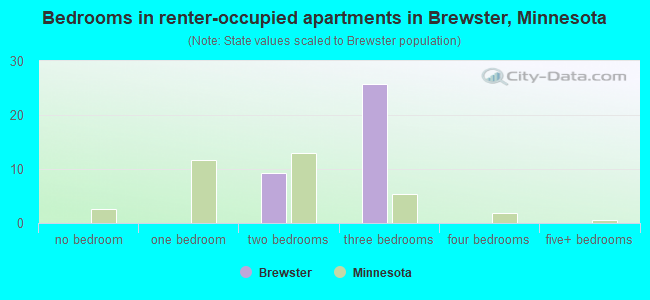 Bedrooms in renter-occupied apartments in Brewster, Minnesota
