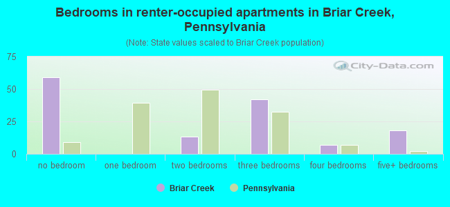 Bedrooms in renter-occupied apartments in Briar Creek, Pennsylvania