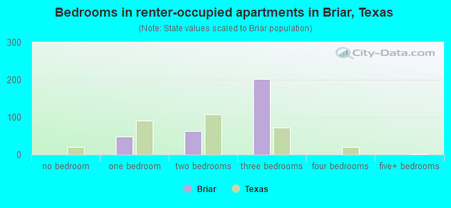 Bedrooms in renter-occupied apartments in Briar, Texas
