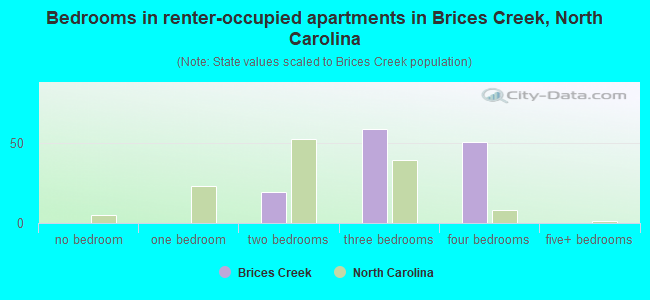 Bedrooms in renter-occupied apartments in Brices Creek, North Carolina