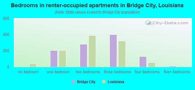 Bedrooms in renter-occupied apartments in Bridge City, Louisiana
