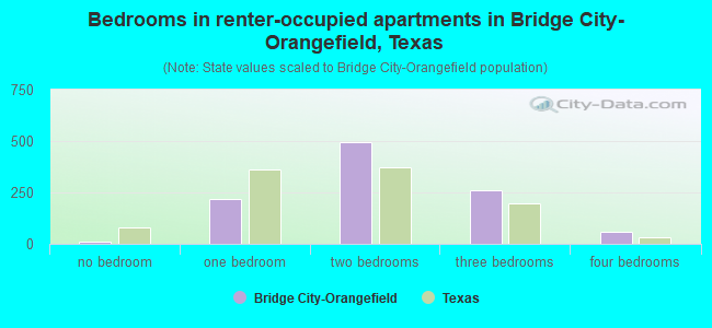 Bedrooms in renter-occupied apartments in Bridge City-Orangefield, Texas