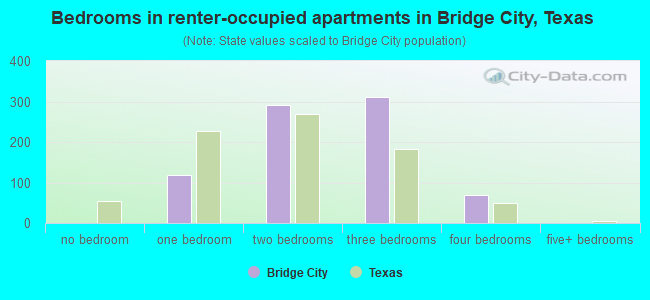 Bedrooms in renter-occupied apartments in Bridge City, Texas