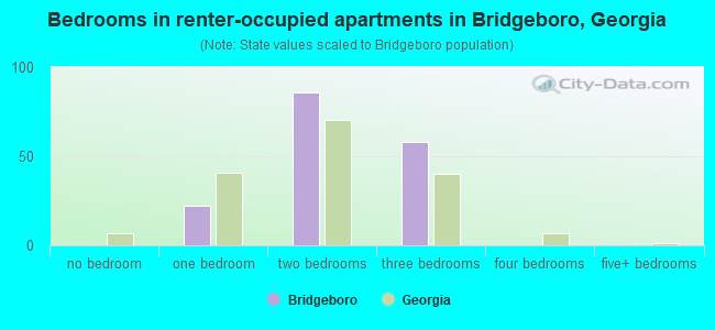 Bedrooms in renter-occupied apartments in Bridgeboro, Georgia