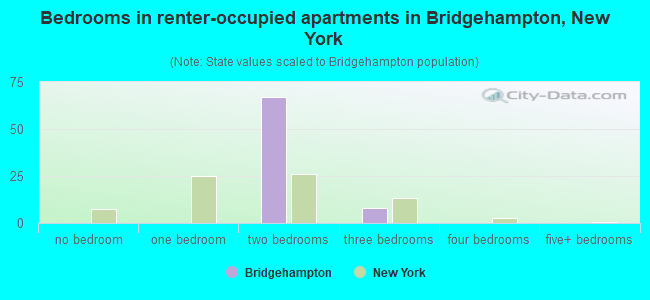 Bedrooms in renter-occupied apartments in Bridgehampton, New York