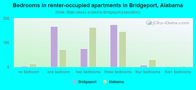 Bedrooms in renter-occupied apartments in Bridgeport, Alabama