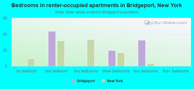 Bedrooms in renter-occupied apartments in Bridgeport, New York