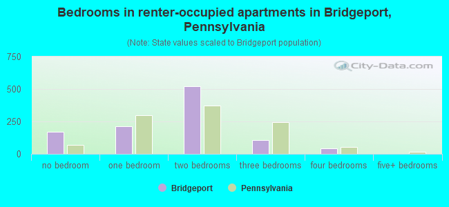 Bedrooms in renter-occupied apartments in Bridgeport, Pennsylvania