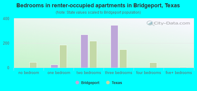 Bedrooms in renter-occupied apartments in Bridgeport, Texas