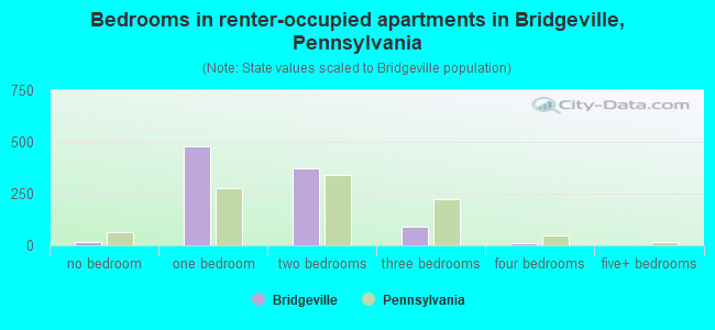 Bedrooms in renter-occupied apartments in Bridgeville, Pennsylvania