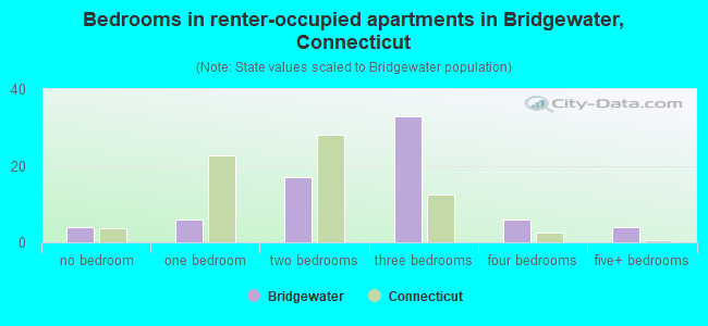 Bedrooms in renter-occupied apartments in Bridgewater, Connecticut