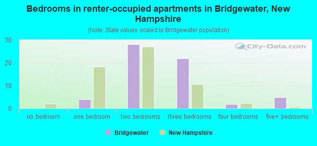 Bedrooms in renter-occupied apartments in Bridgewater, New Hampshire