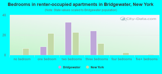 Bedrooms in renter-occupied apartments in Bridgewater, New York