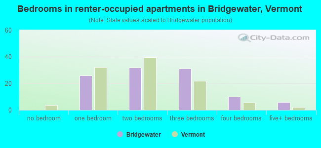 Bedrooms in renter-occupied apartments in Bridgewater, Vermont