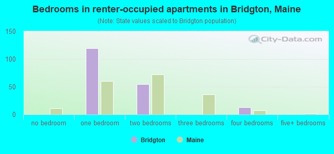 Bedrooms in renter-occupied apartments in Bridgton, Maine