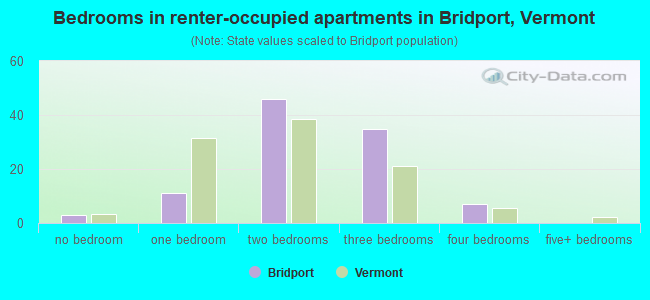 Bedrooms in renter-occupied apartments in Bridport, Vermont