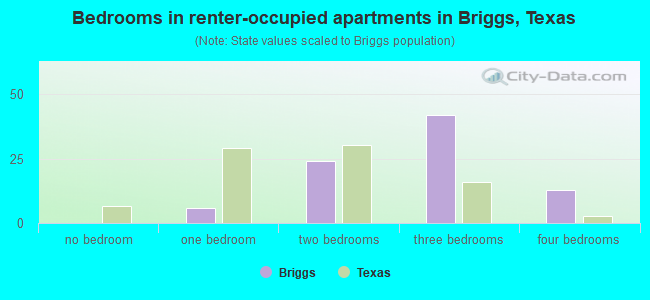 Bedrooms in renter-occupied apartments in Briggs, Texas