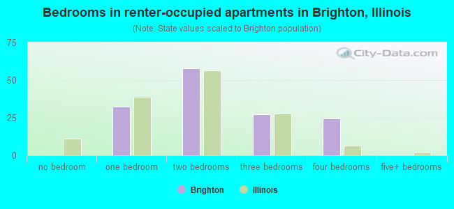 Bedrooms in renter-occupied apartments in Brighton, Illinois