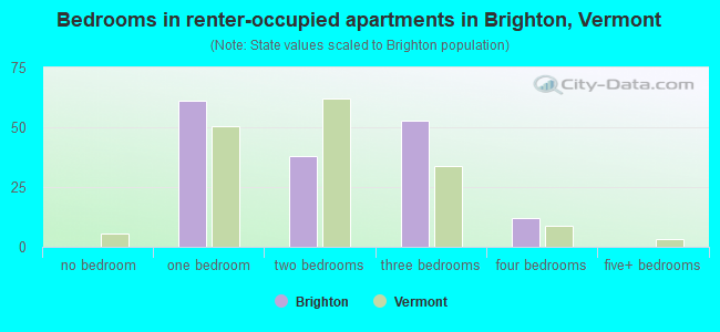 Bedrooms in renter-occupied apartments in Brighton, Vermont