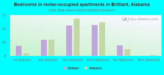 Bedrooms in renter-occupied apartments in Brilliant, Alabama