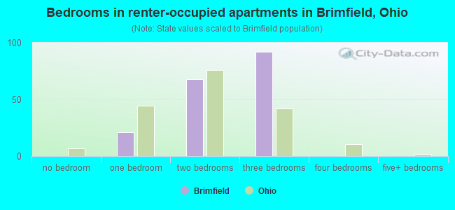 Bedrooms in renter-occupied apartments in Brimfield, Ohio