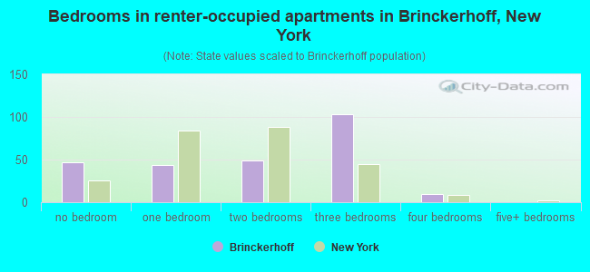 Bedrooms in renter-occupied apartments in Brinckerhoff, New York