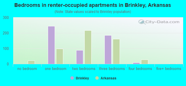 Bedrooms in renter-occupied apartments in Brinkley, Arkansas