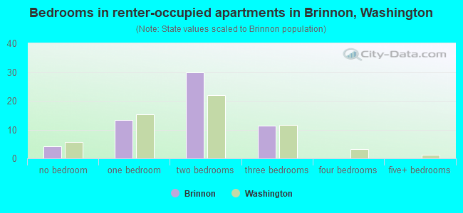 Bedrooms in renter-occupied apartments in Brinnon, Washington