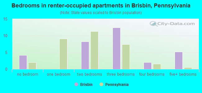 Bedrooms in renter-occupied apartments in Brisbin, Pennsylvania