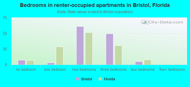 Bedrooms in renter-occupied apartments in Bristol, Florida
