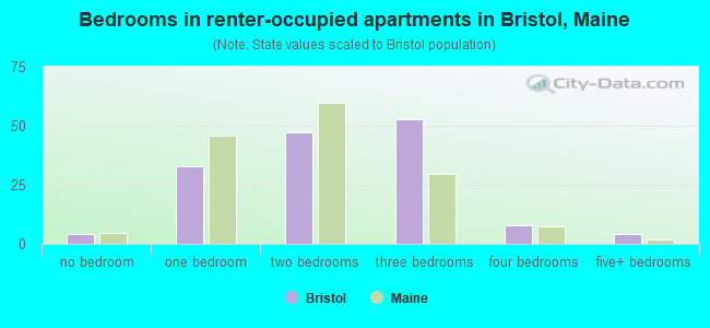 Bedrooms in renter-occupied apartments in Bristol, Maine