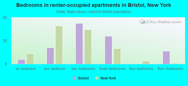 Bedrooms in renter-occupied apartments in Bristol, New York