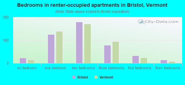 Bedrooms in renter-occupied apartments in Bristol, Vermont