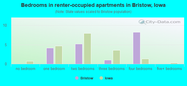 Bedrooms in renter-occupied apartments in Bristow, Iowa