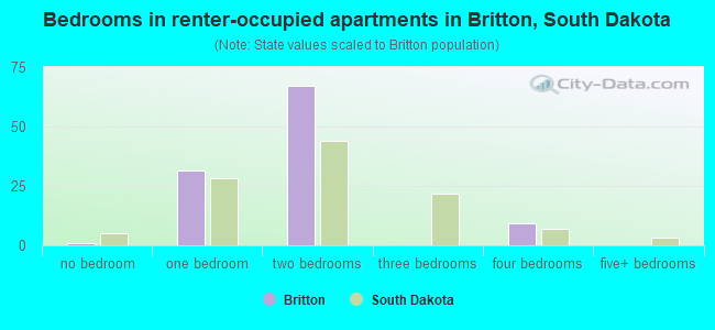 Bedrooms in renter-occupied apartments in Britton, South Dakota