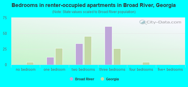 Bedrooms in renter-occupied apartments in Broad River, Georgia