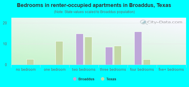 Bedrooms in renter-occupied apartments in Broaddus, Texas