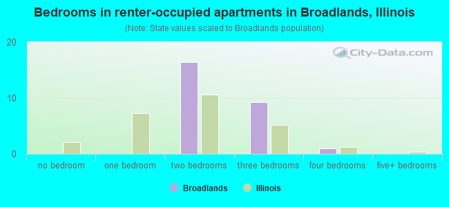 Bedrooms in renter-occupied apartments in Broadlands, Illinois