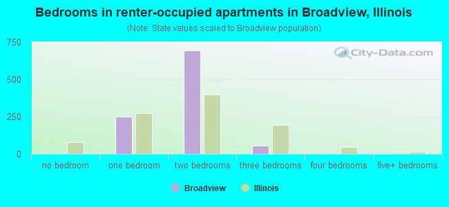 Bedrooms in renter-occupied apartments in Broadview, Illinois