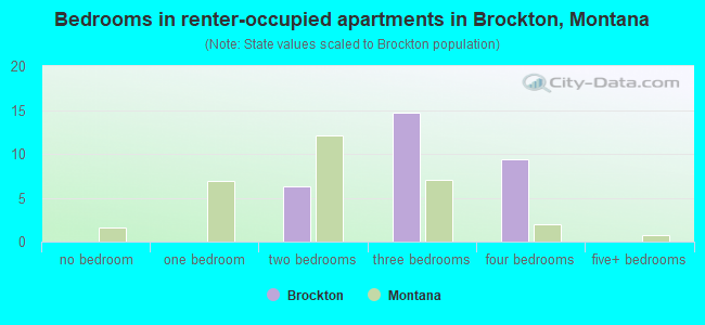 Bedrooms in renter-occupied apartments in Brockton, Montana