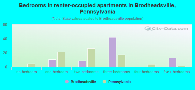 Bedrooms in renter-occupied apartments in Brodheadsville, Pennsylvania