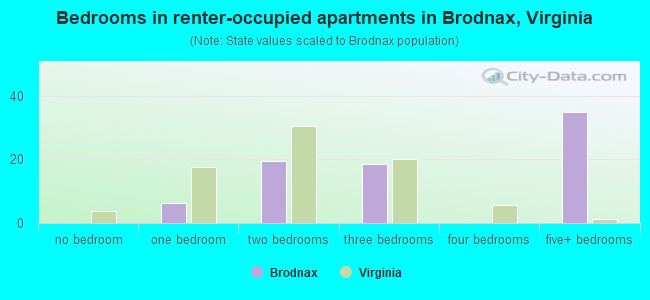 Bedrooms in renter-occupied apartments in Brodnax, Virginia
