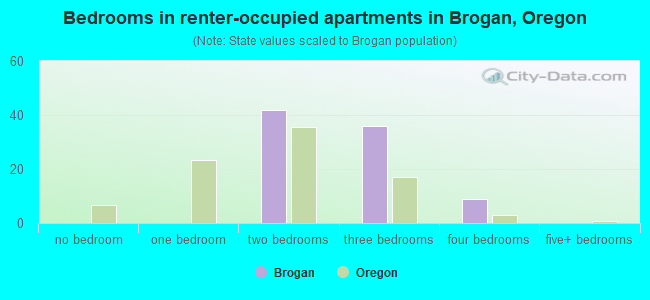 Bedrooms in renter-occupied apartments in Brogan, Oregon