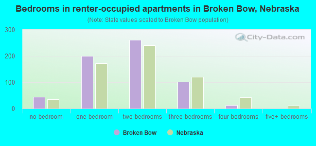 Bedrooms in renter-occupied apartments in Broken Bow, Nebraska