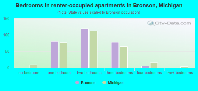 Bedrooms in renter-occupied apartments in Bronson, Michigan