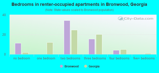 Bedrooms in renter-occupied apartments in Bronwood, Georgia