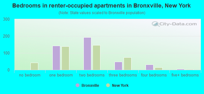 Bedrooms in renter-occupied apartments in Bronxville, New York
