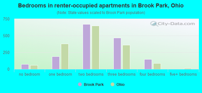 Bedrooms in renter-occupied apartments in Brook Park, Ohio
