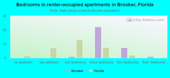 Bedrooms in renter-occupied apartments in Brooker, Florida