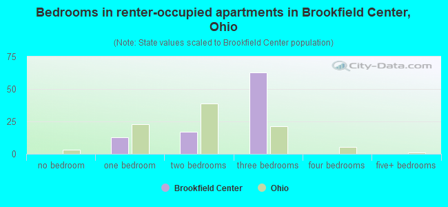 Bedrooms in renter-occupied apartments in Brookfield Center, Ohio